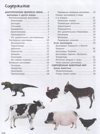 Фотография книги "Ольга Лашкевич: 3000 картинок. Динозавры и Животные, которые можно рассматривать целый год"