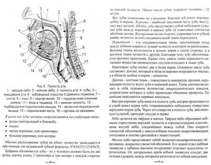 Фотография книги "Ольга Лобышева: Биолокация. Атлас диаграмм. Методическое пособие для диагностики: органов дыхания, пищеварительной"