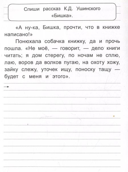 Фотография книги "Ольга Макеева: Чистописание Учимся грамотно писать!"
