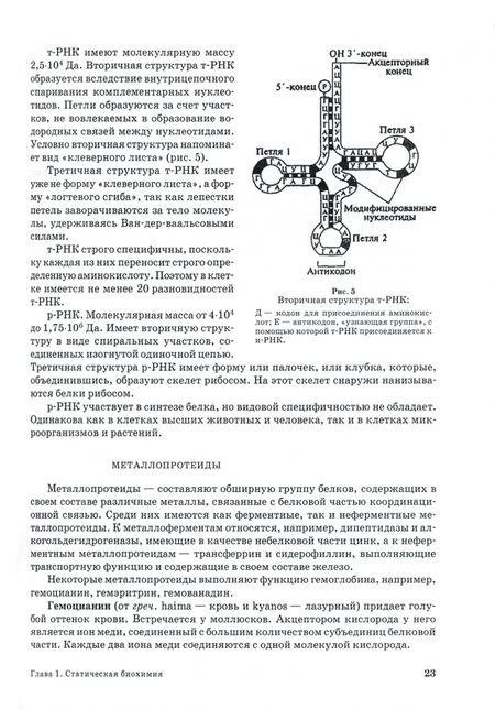 Фотография книги "Ольга Охрименко: Основы биохимии сельскохозяйственной продукции. Учебное пособие. СПО"