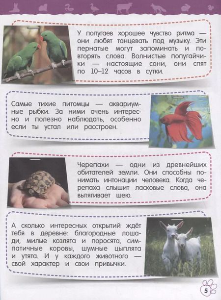 Фотография книги "Ольга Подорожная: Домашние животные. Моя первая энциклопедия с наклейками"