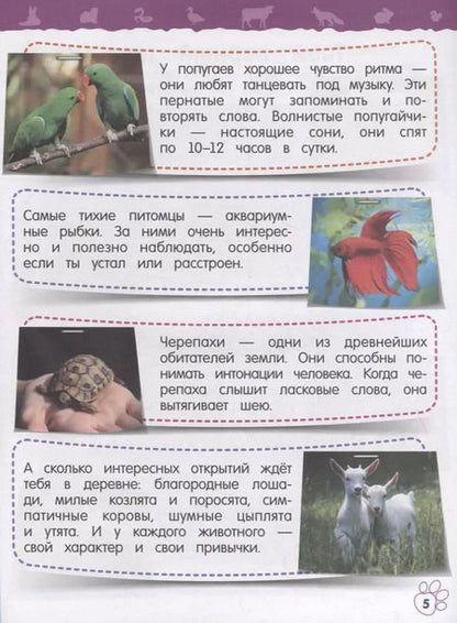 Фотография книги "Ольга Подорожная: Домашние животные. Моя первая энциклопедия с наклейками"