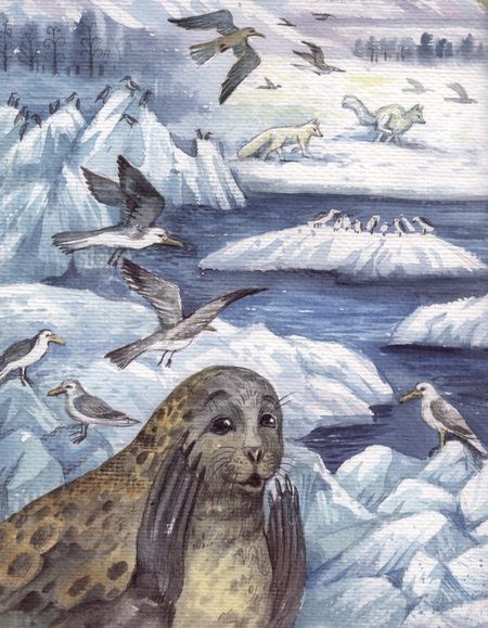 Фотография книги "Ольга Шадрина: О том, как нерпы попали в Байкал"