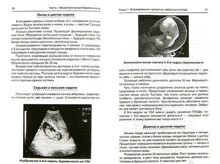 Фотография книги "Ольга Сикирина: Заболевания и осложнения во время беременности"