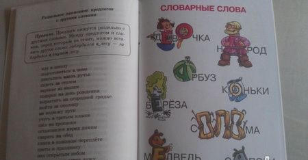 Фотография книги "Ольга Ушакова: Напиши диктант без ошибок! 1-4 классы"
