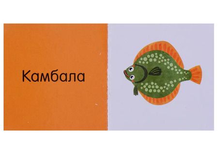 Фотография книги "Ольга Уткина: Познаем мир вместе Мои любимые животные. 15 книжек-кубиков"