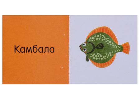 Фотография книги "Ольга Уткина: Познаем мир вместе Мои любимые животные. 15 книжек-кубиков"