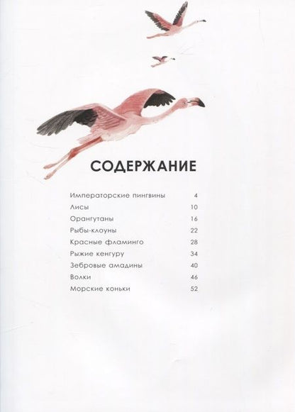 Фотография книги "Олливье, Клаас: Лучшие родители"