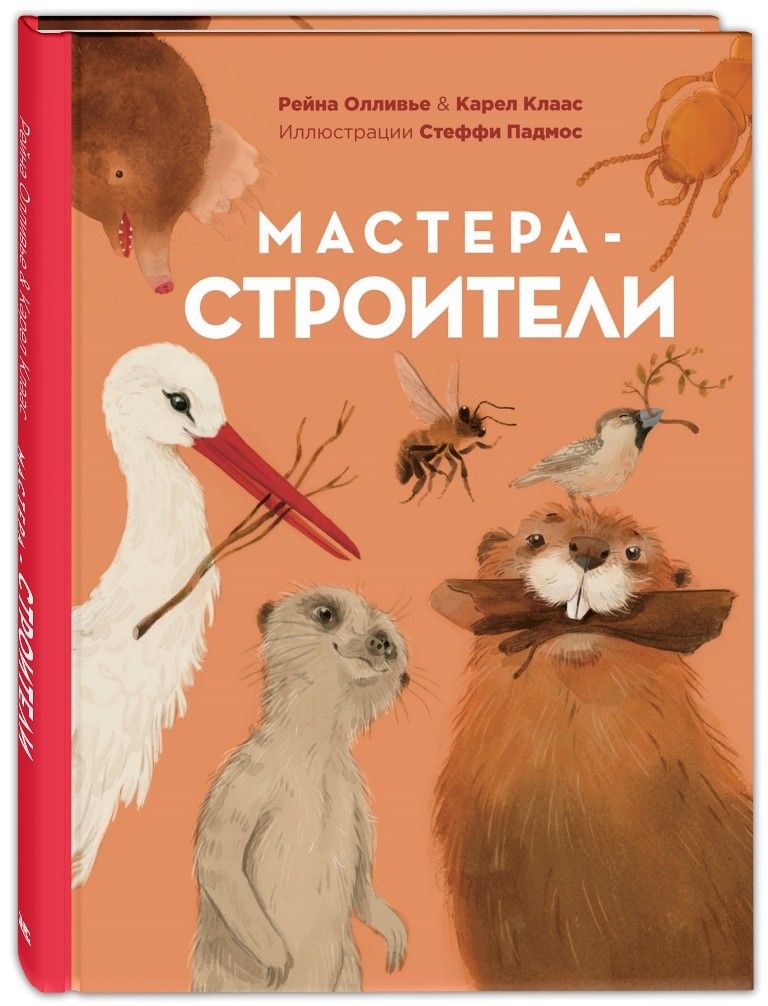 Обложка книги "Олливье, Клаас: Мастера-строители"