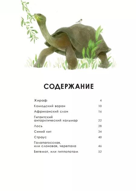 Фотография книги "Олливье, Клаас: Животные-гиганты"