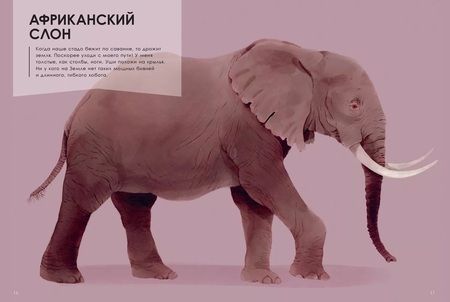 Фотография книги "Олливье, Клаас: Животные-гиганты"