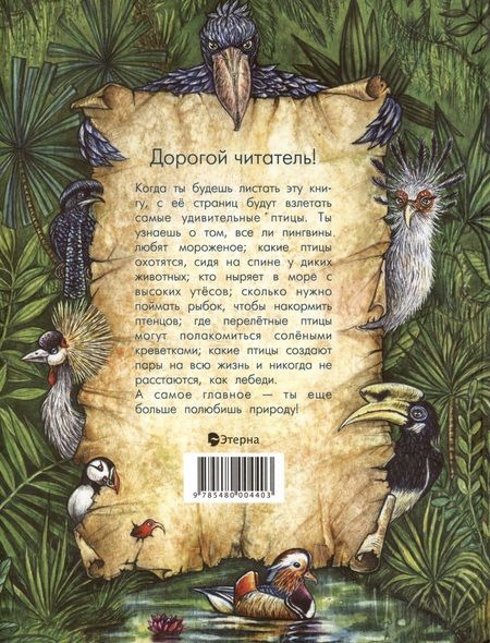 Фотография книги "Орсо: Азбука диковинных птиц. Для взрослых и детей"