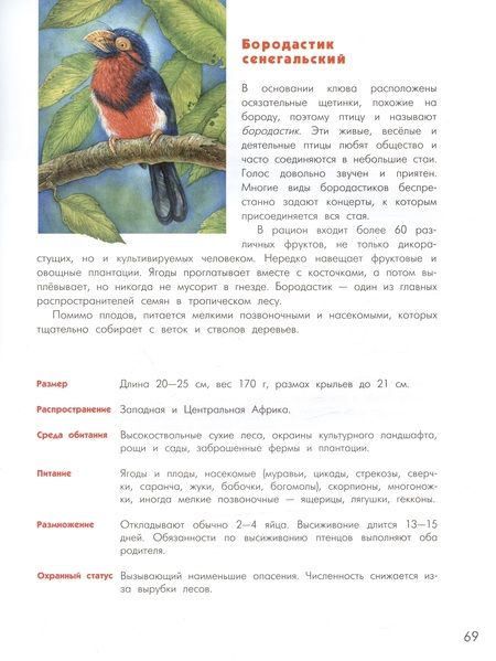 Фотография книги "Орсо: Азбука диковинных птиц. Для взрослых и детей"