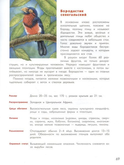 Фотография книги "Орсо: Азбука диковинных птиц. Для взрослых и детей"