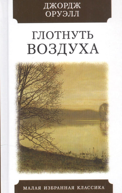 Обложка книги "Оруэлл: Глотнуть воздуха"