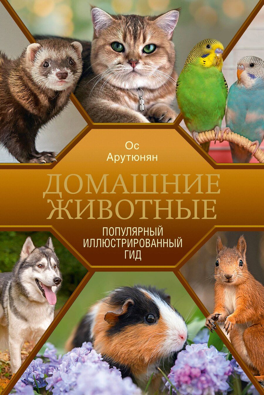 Обложка книги "Ос Спартакович: Домашние животные. Популярный иллюстрированный гид"
