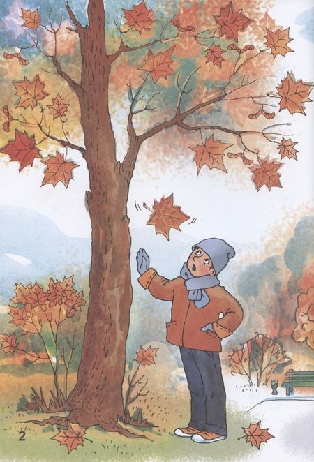 Фотография книги "Осеннее путешествие"