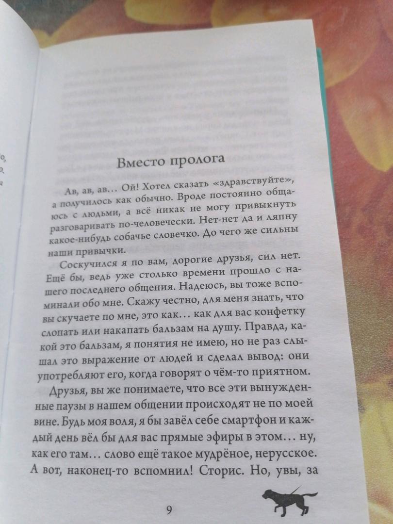 Фотография книги "Осенний марафон лабрадора Трисона"