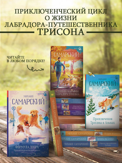 Фотография книги "Осенний марафон лабрадора Трисона"