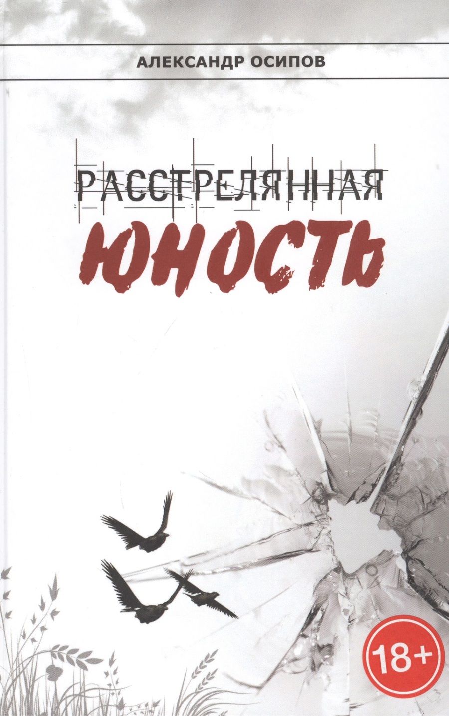 Обложка книги "Осипов А.Расстрелянная юность"