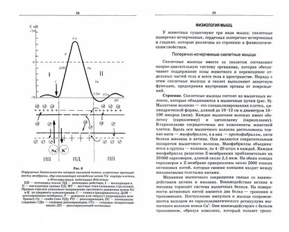 Фотография книги "Основы физиологии и этологии животных. Учебник"