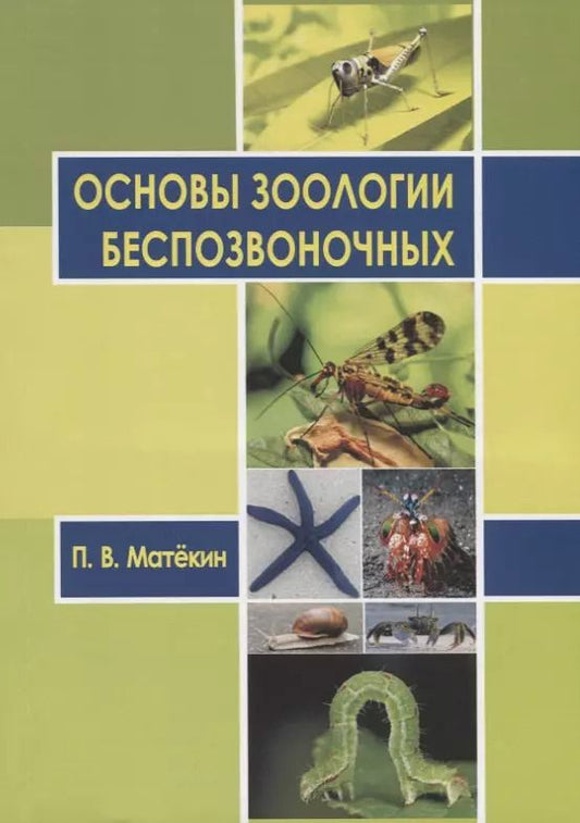 Обложка книги "Основы зоологии беспозвоночных. Учебное пособие"