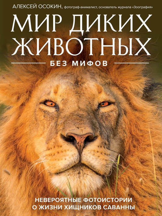 Обложка книги "Осокин: Мир диких животных без мифов. Невероятные фото-истории о жизни хищников саванны"