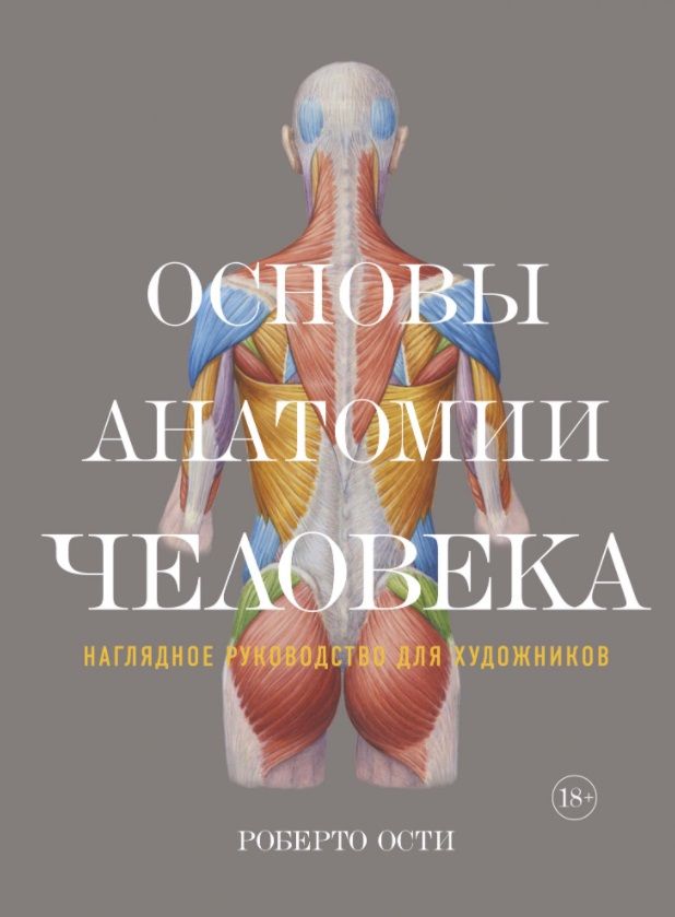 Обложка книги "Ости: Основы анатомии человека. Наглядное руководство для художников"