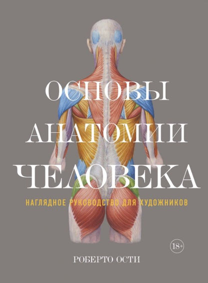 Обложка книги "Ости: Основы анатомии человека. Наглядное руководство для художников"