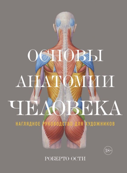 Обложка книги "Ости: Основы анатомии человека. Наглядное руководство для художников"
