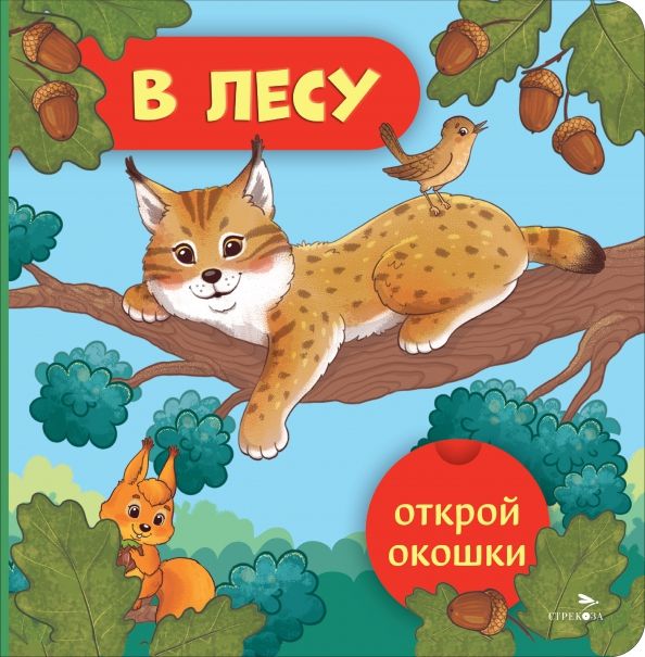 Обложка книги "Открой окошки. В лесу"