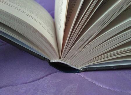 Фотография книги "Овечкин: Акулы из стали. Ноябрь"