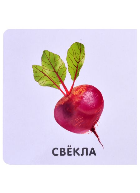 Фотография книги "Овощи"