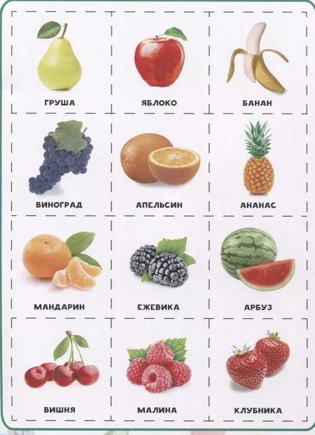 Фотография книги "Овощи, фрукты и ягоды. Разрезные элементы"