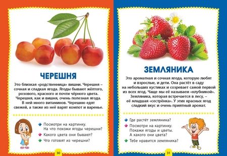 Фотография книги "Овощи, фрукты, ягоды. Фотокнига для самых маленьких"