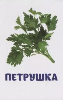 Фотография книги "Овощи и зелень. Развивающие карточки"