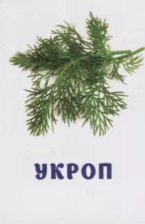 Фотография книги "Овощи и зелень. Развивающие карточки"