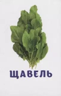 Фотография книги "Овощи и зелень. Развивающие карточки"