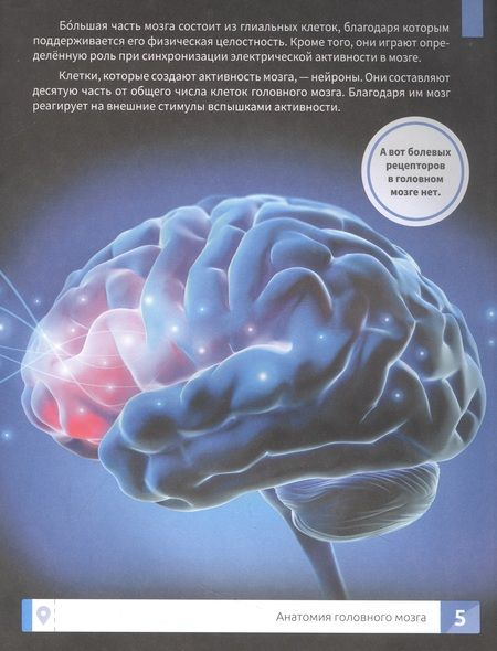 Фотография книги "Озорнина: Мозг человека. Самая умная энциклопедия"