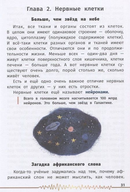 Фотография книги "Озорнина: Не просто серое вещество! Изучи свой мозг и включи его!"