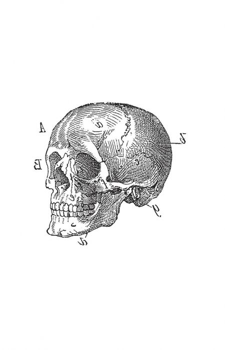Фотография книги "Паевский, Сазонов, Хоружая: Увлекательная история медицины. От вирусов до эпидемий. Комплект из 3 книг"