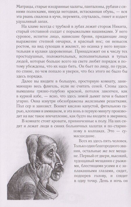 Фотография книги "Палата № 6. Безумцы в русской классике"