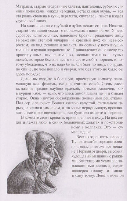 Фотография книги "Палата № 6. Безумцы в русской классике"