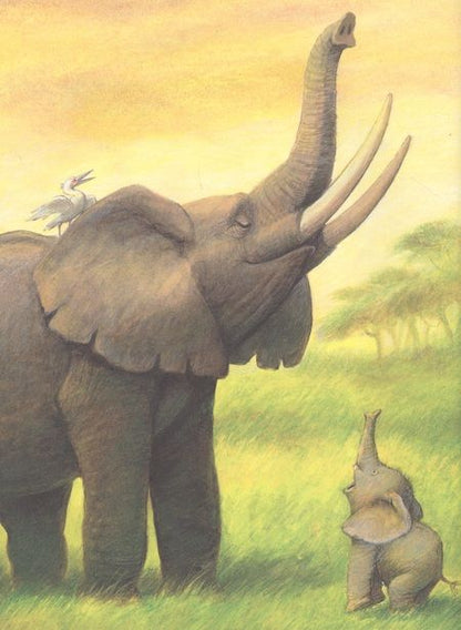 Фотография книги "Палома Вензель: Слонёнок Бобо"