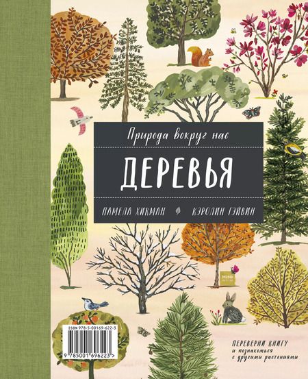 Фотография книги "Памела Хикман: Природа вокруг нас: Растения. Деревья"