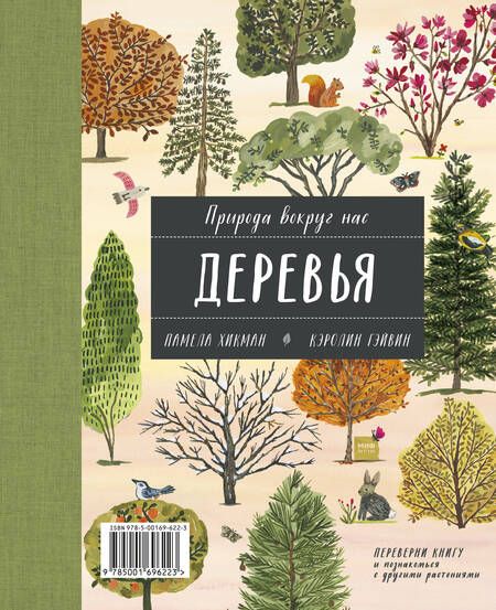 Фотография книги "Памела Хикман: Природа вокруг нас: Растения. Деревья"