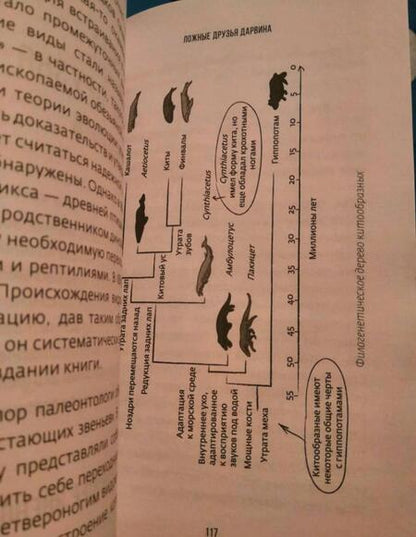 Фотография книги "Панафье: Дарвин на отдыхе. Размышляем над теорией эволюции"