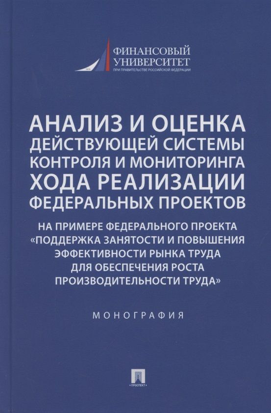 Обложка книги "Панина, Красюкова, Шубцова: Анализ и оценка действующей системы контроля и мониторинга хода реализации федеральных проектов"