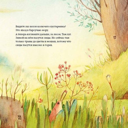 Фотография книги "Паола Сала: Маргарита смотрела на звёзды"