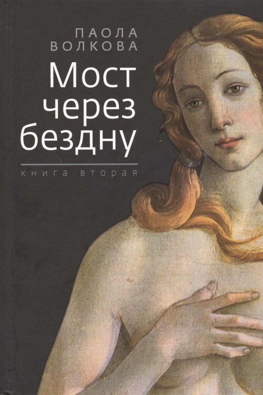 Обложка книги "Паола Волкова: Мост через бездну. Книга вторая"